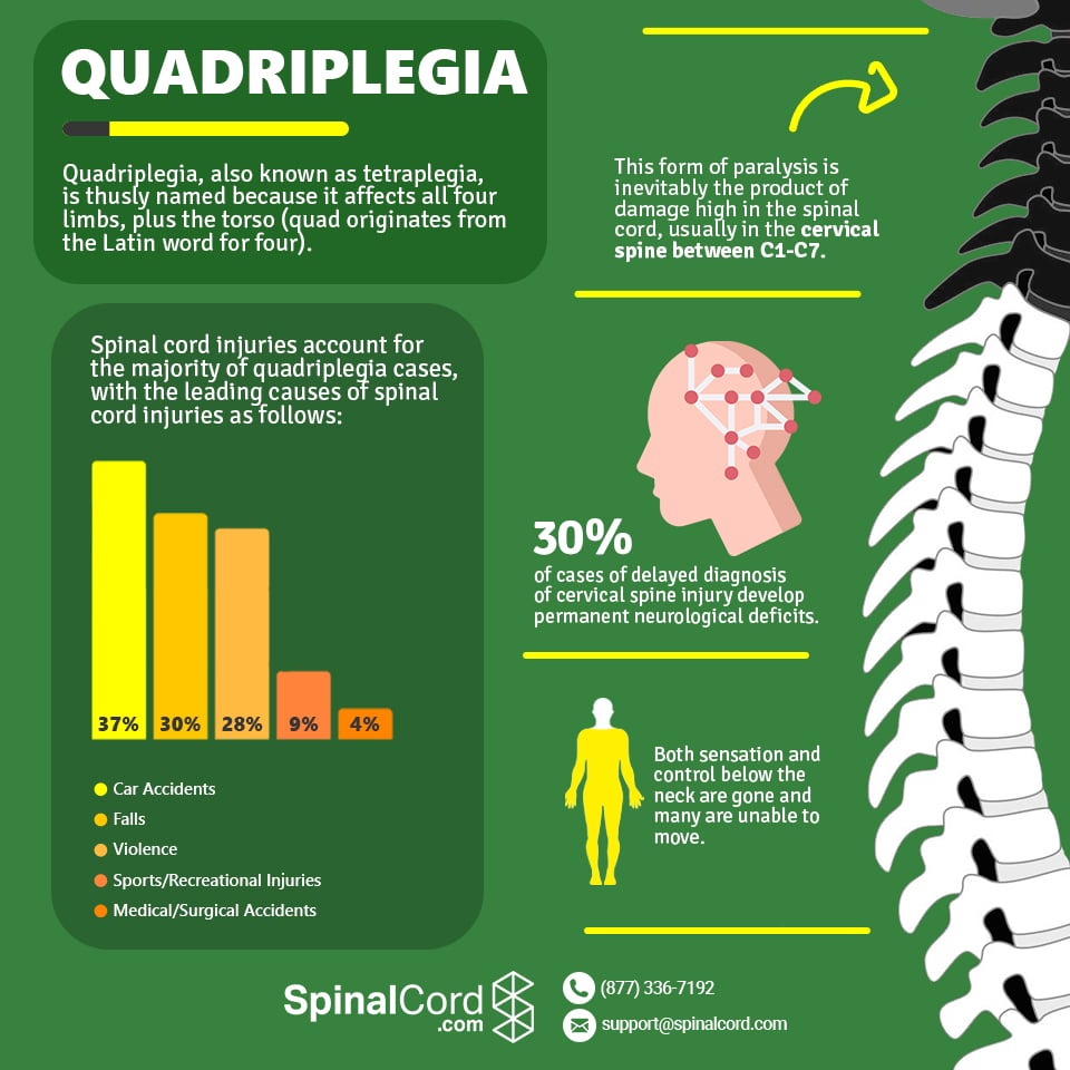 Spinal Cord Injury Infographics